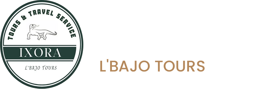 logo white - Ixora L'Bajo Tours