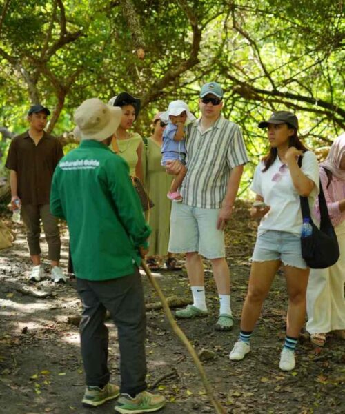 photo - Ixora L'Bajo Tours - 22 photo - Ixora L'Bajo Tours - 22